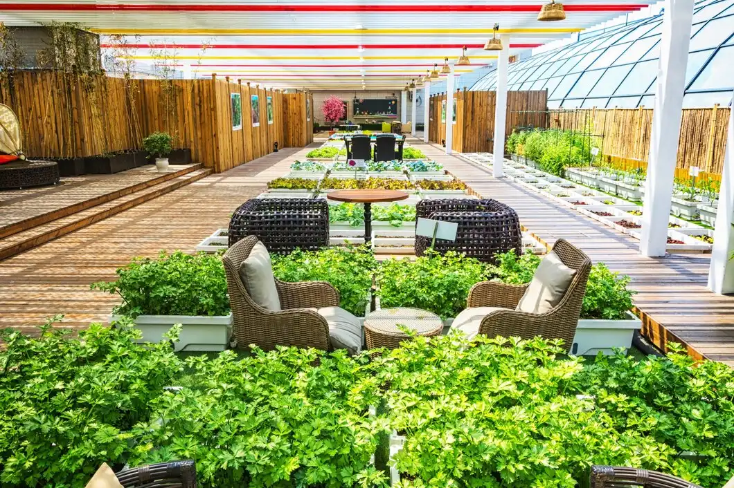 Landscaping, Patios & Gardens